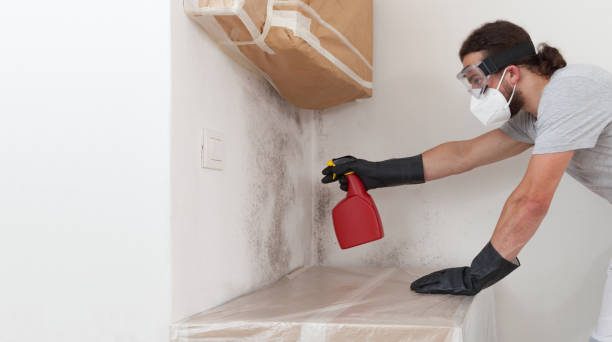 Professional Attic Mold Removal technician working in Christiana, TN